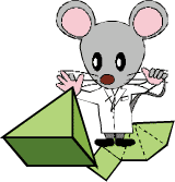 小学校受験 幼児教育問題集イグザムのネズミのレナードと四角錐